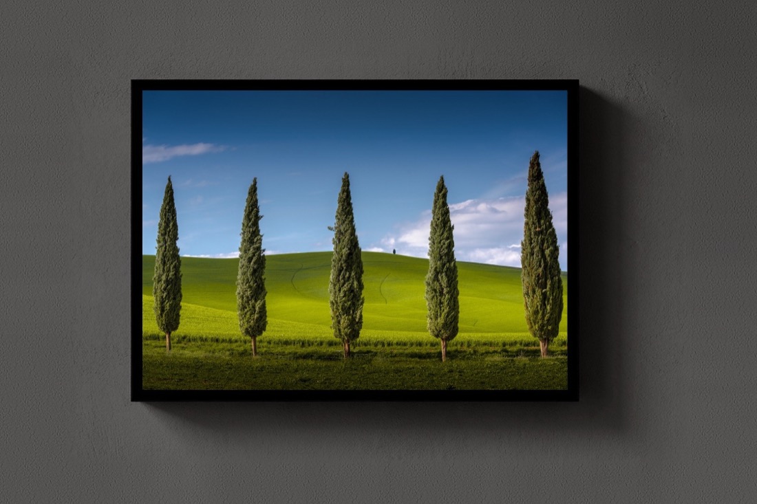 The Cypress Line