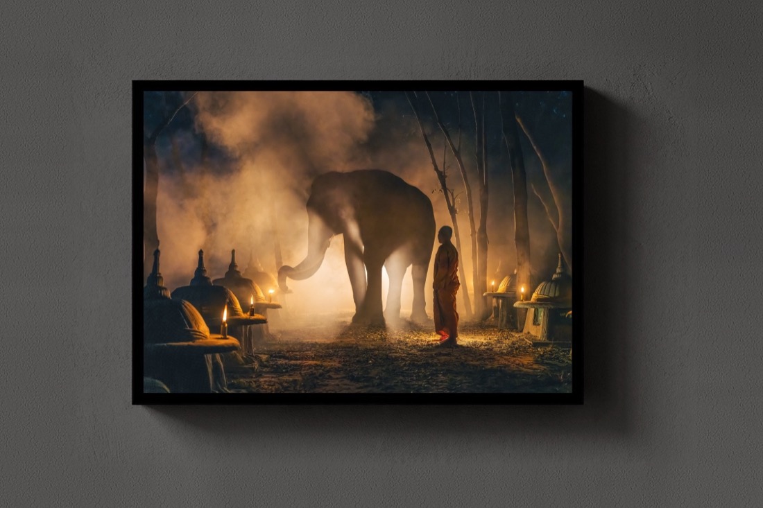 The Monk and the Elephant