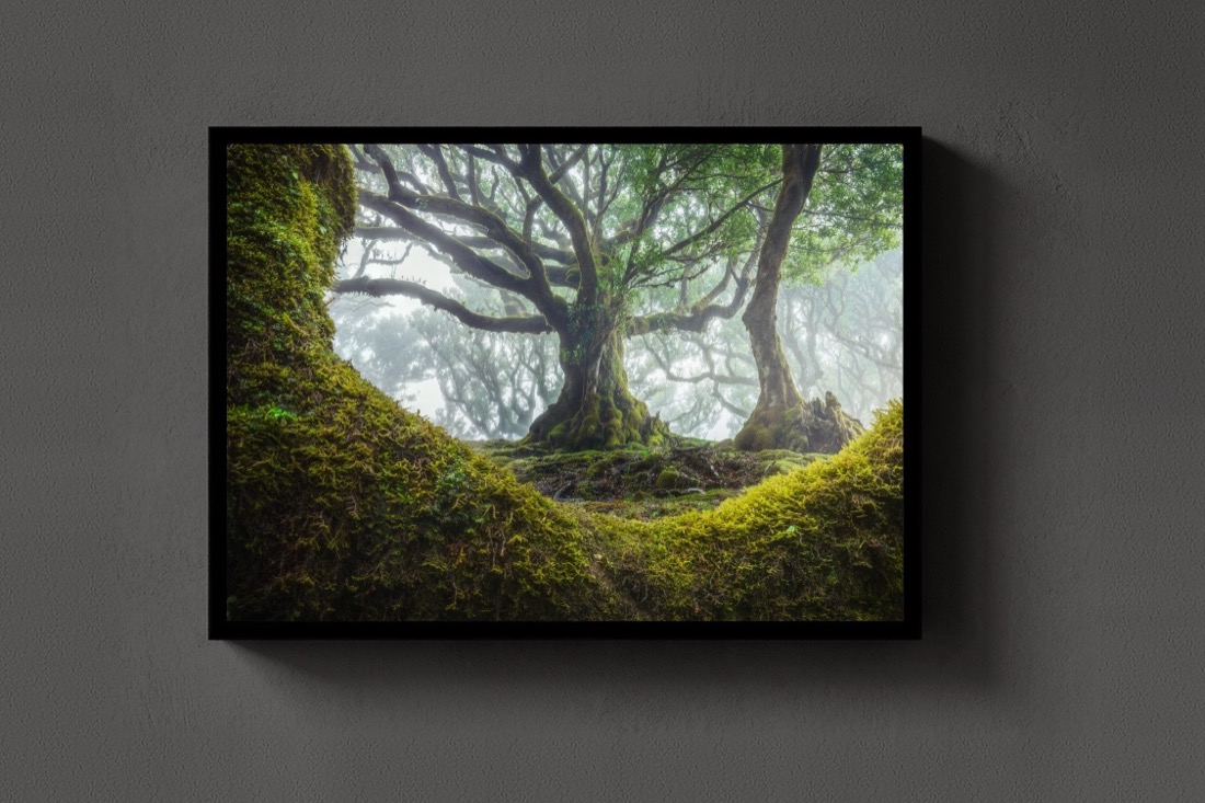 The Moss Cradle