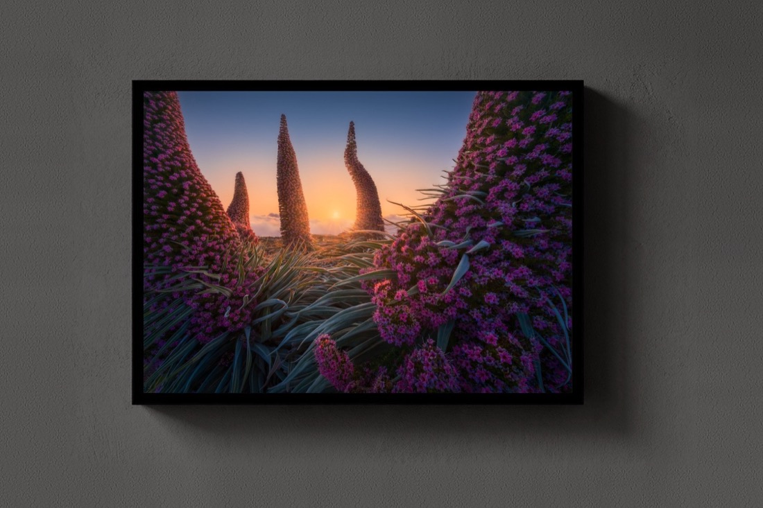 The Towers of Jewels