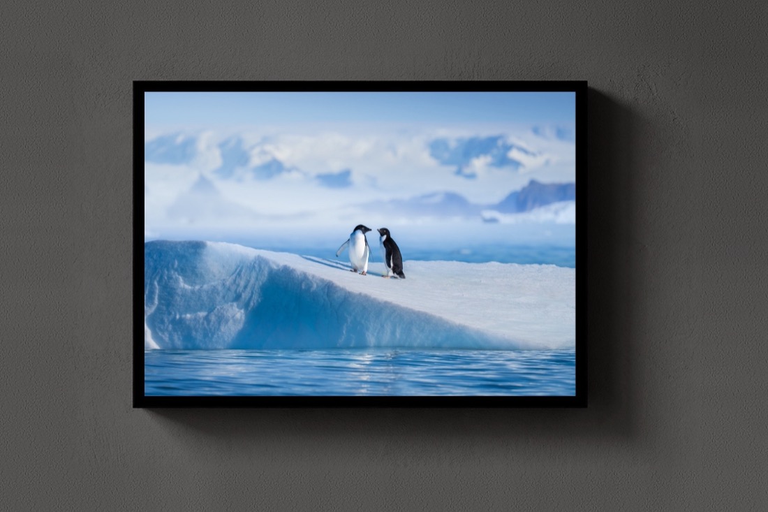 Two on the Ice
