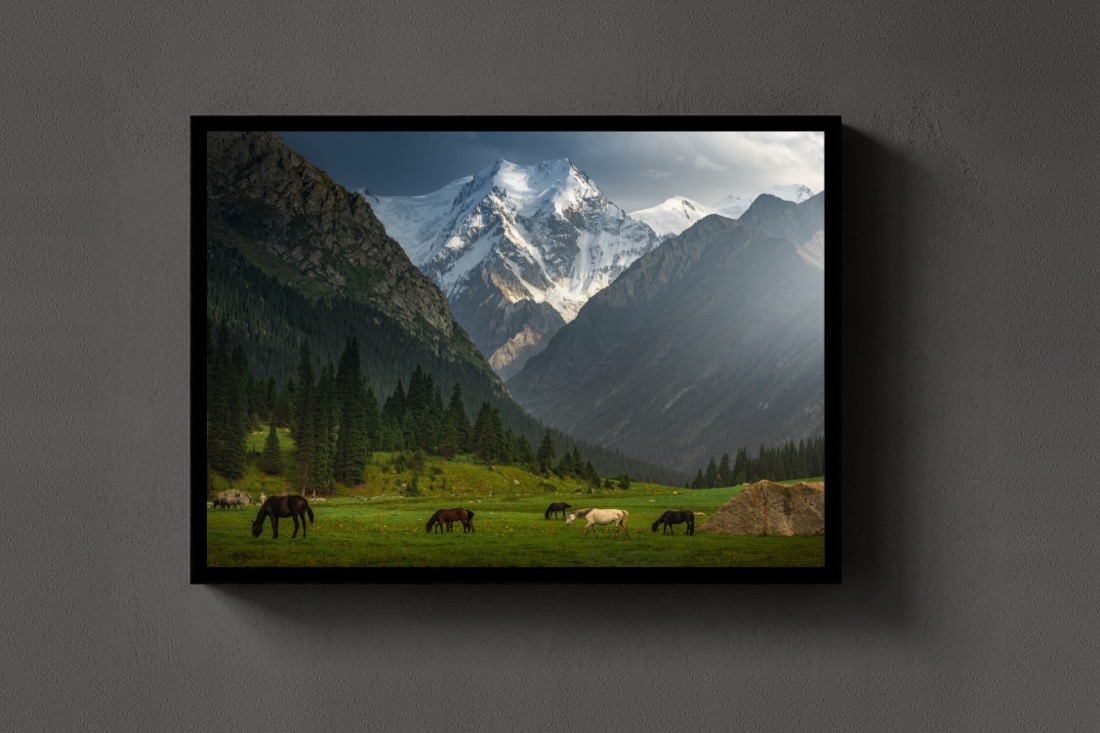 Valley of Dreams
